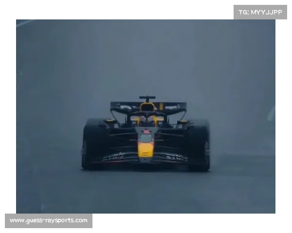 维斯塔潘豪言无所畏惧誓言全力冲刺后半程力争缩小积分差距